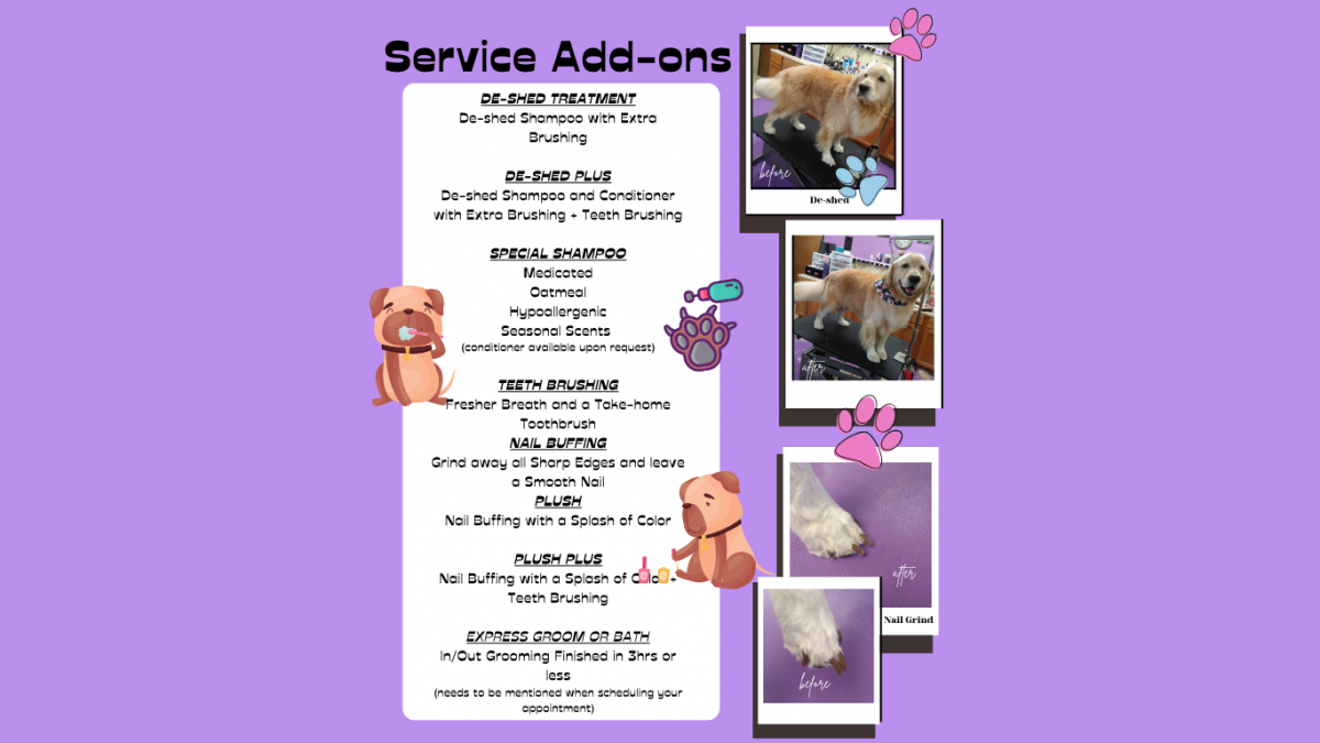 Grooming Onion Creek Kennels