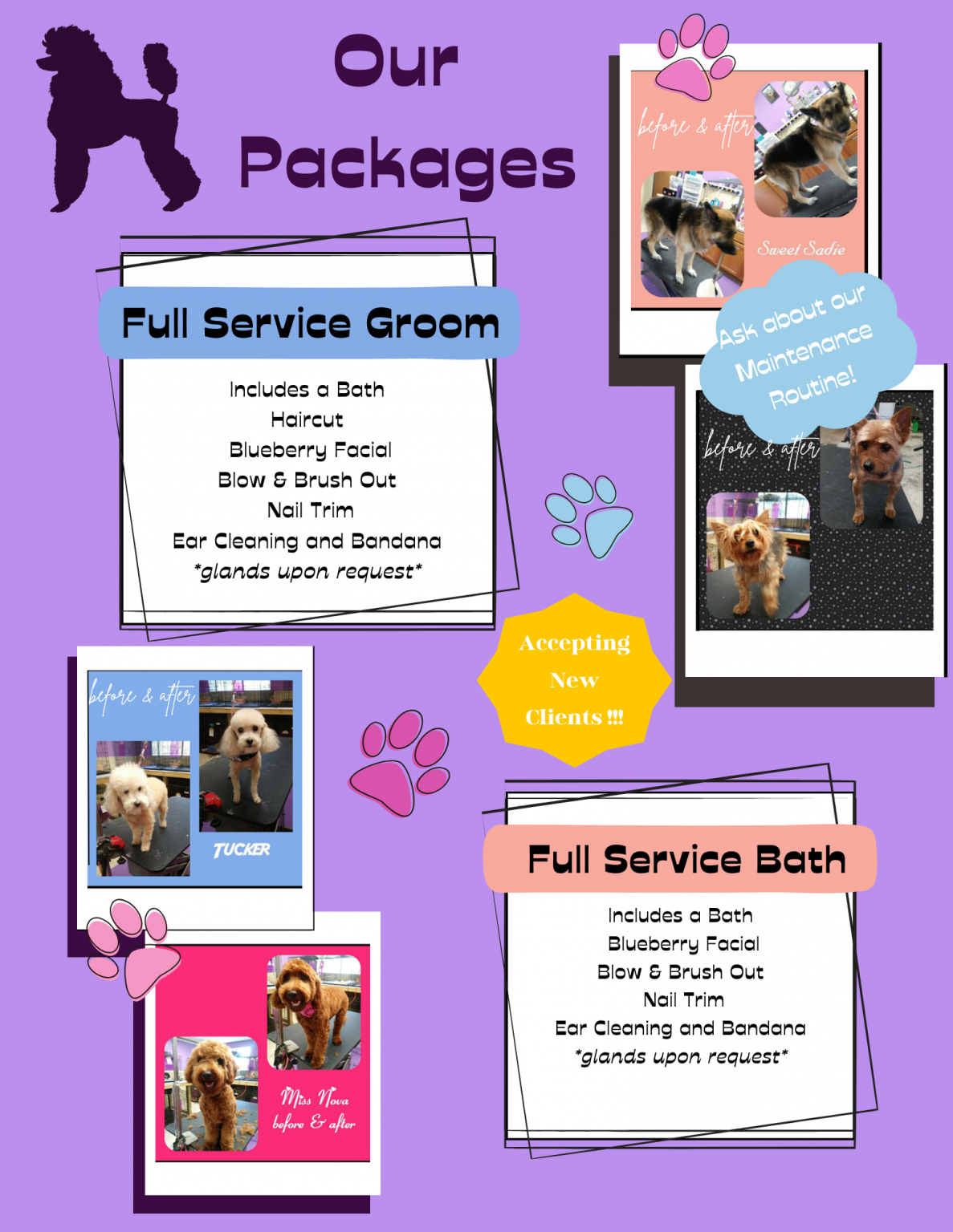 Grooming Onion Creek Kennels